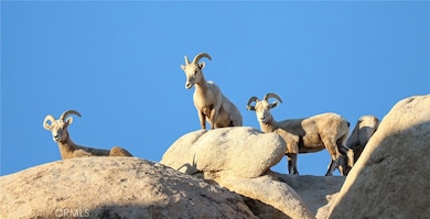 66075 Foothill Dr, Joshua Tree, CA 92252 - photo 4