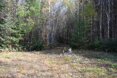 0 Paris Rd, Dummer, NH 03588 - photo 3