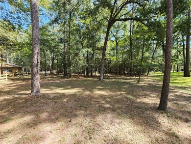 107 Sundew Ct, Magnolia, TX 77355 - photo 6