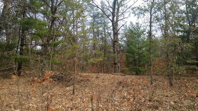 VL Par B S Peacock Trail, Baldwin, MI 49304 - photo 4