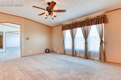 10120 Horseback Trail, Peyton, CO 80831 - photo 5