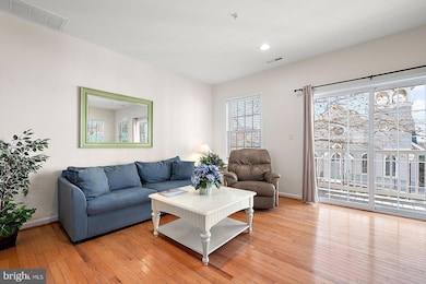 201 S Baltimore Ave unit 101, Ocean City, MD 21842 - photo 3