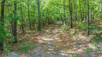 2482 S Chapel Hill Church Rd, Denton, NC 27239 - photo 7