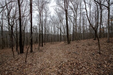 TBD S Hwy 71, Winslow, AR 72959 - photo 6