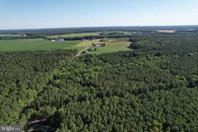 0 Hollyville Rd unit DESU2065420, Harbeson, DE 19951 - photo 3