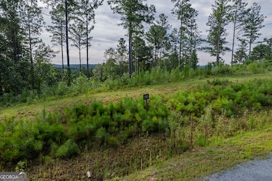 Lot 195 Blalock Mountain Rd, Talking Rock, GA 30175 - photo 6