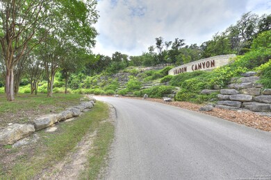 17023 Clovis, Helotes, TX 78023 - photo 3