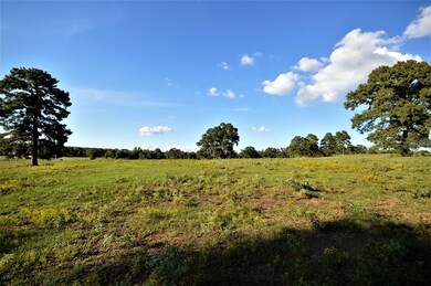 000 Fm 698, Nacogdoches, TX 75964 - photo 7