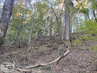 2081 Gallatin St, Hazlehurst, MS 39083 - photo 3