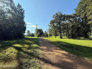 1156 Boone Rd, McComb, MS 39648 - photo 4