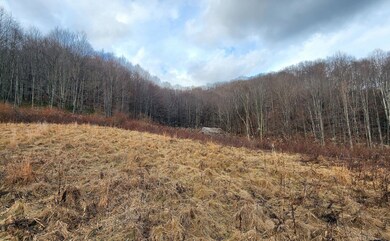 Simms Mountain Farm 005