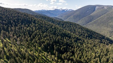 3600 Cottonwood Ranch Trail, Bozeman, MT 59718 - photo 6