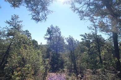 More Views