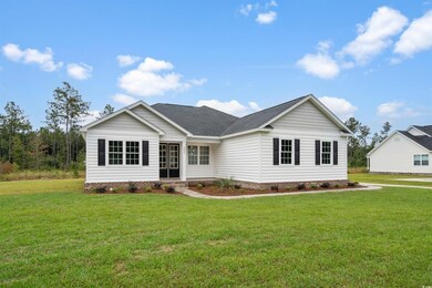 6909 Pauley Swamp Rd, Conway, SC 29527 - photo 2