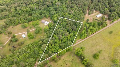 TBD Woodchuck Rd, Pittsburg, TX 75686 - photo 6