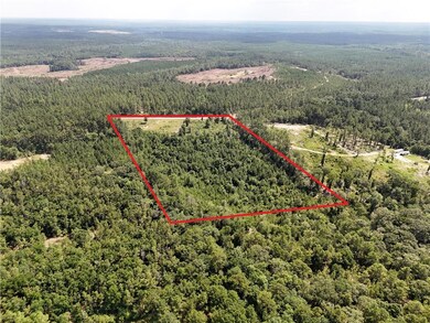 Aerial view of property and surrounding area with a forest and property parcel outlined