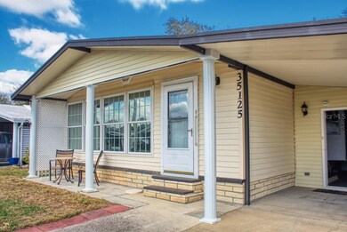 35125 McCulloughs Leap, Zephyrhills, FL 33541 - photo 3