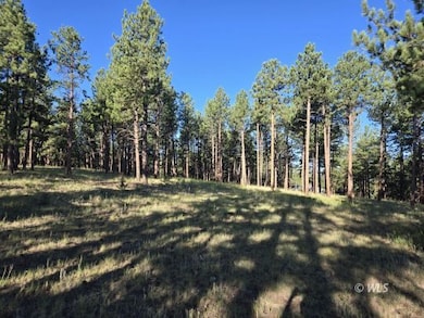 755 Black Fawn Ln, Westcliffe, CO 81252 - photo 3