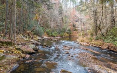 Additional View