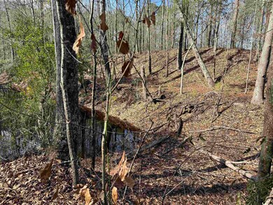 tbd Copeland Moody Rd, Marion, SC 29571 - photo 4