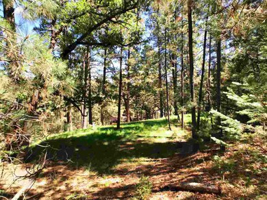 12 Long Dr unit 6W1/2, Mayhill, NM 88339 - photo 7