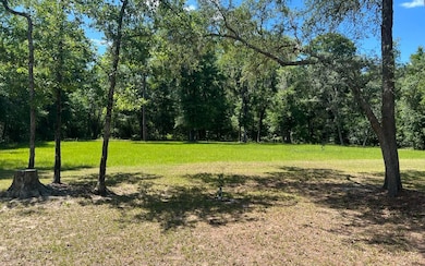 284 SW Blast Ct, Fort White, FL 32038 - photo 4