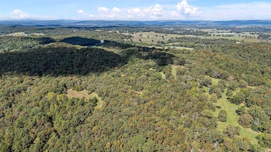 TRACT 2&3-13610 Arkansas 105, Hector, AR 72843 - photo 2