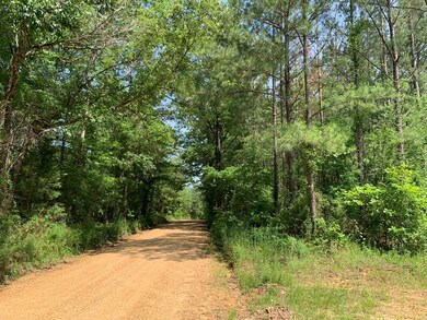 . Athens Trail Ne Timberlane Rd NE, Wesson, MS 39191 - photo 4