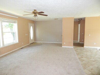 5916 E 104th St, Howard City, MI 49329 - photo 3