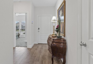 10705 Blaze St, Aubrey, TX 76227 - photo 4