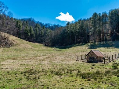 3263 Possum Trot Rd unit 2, Burnsville, NC 28714 - photo 6