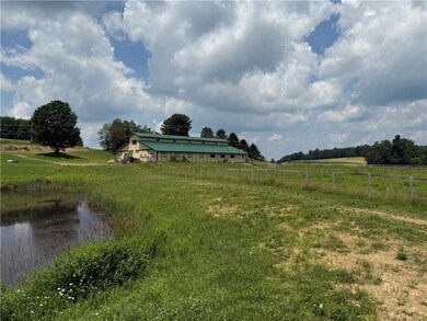 view from behind pond area