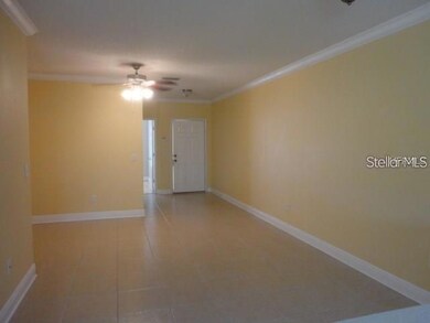 6548 Osprey Lake Cir, Riverview, FL 33578 - photo 4