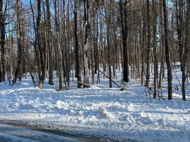 Lot 61 Stony Brook Dr, Limerick, ME 04048 - photo 2