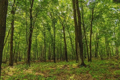 Diamond Dr, Cushing, MN 56443 - photo 5