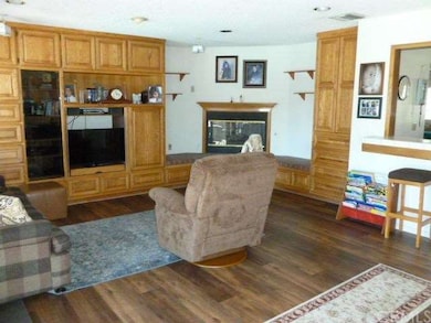 Family room opens to patio.  built-ins and firepla