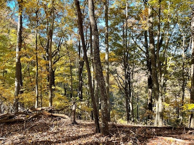 0 Royal Oaks Trail unit 23615967, Young Harris, GA 30582 - photo 2