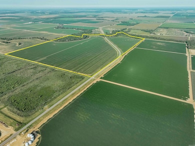 0000 Highway 8, Eudora, AR 71640 - photo 2