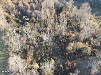 Tbd Sulphur Springs Rd, Jonesville, VA 24263 - photo 6