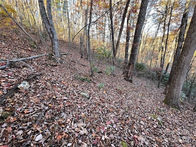 Lot 66 Musket Dr, Almond, NC 28713 - photo 2