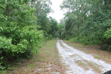 139 Burns Landing, St. Simons Island, GA 31522 - photo 4