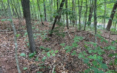 Additional View