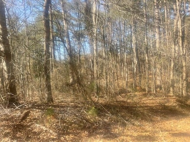 0 Kingsberry Dr, Iuka, MS 38852 - photo 2