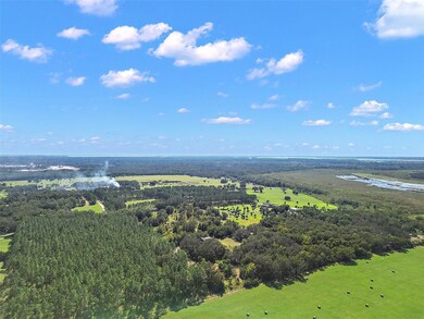 11001 Moon Crest Ln, Leesburg, FL 34788 - photo 5