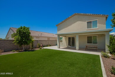 Covered Back Patio