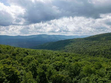 0 Center Fayston Rd, Waitsfield, VT 05673 - photo 7