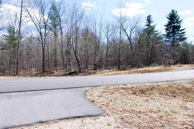 Lot 89 Grandview Rd unit 89, Conway, NH 03818 - photo 4