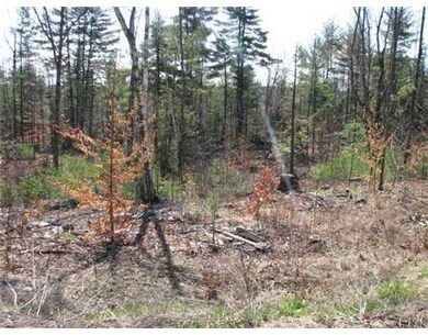 Land/Lot.