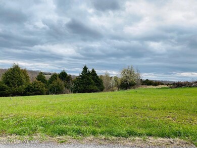 2549 Brush Grove Rd unit TR3, Willisburg, KY 40078 - photo 3