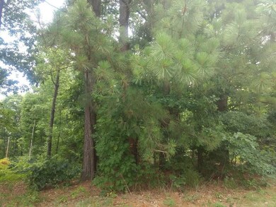 0 Trafalgar Road & Lytham Ln unit 1069185, Bella Vista, AR 72714 - photo 6